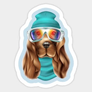 Cute Spaniel Dog in Glasses Sticker